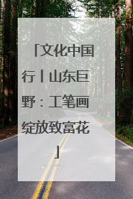 文化中国行丨山东巨野：工笔画绽放致富花