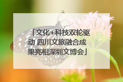 文化+科技双轮驱动 四川文旅融合成果亮相深圳文博会