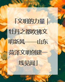 文明的力量｜牡丹之都吹拂文明新风——山东菏泽文明创建一线见闻