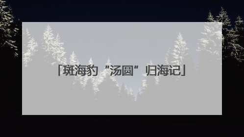 斑海豹“汤圆”归海记