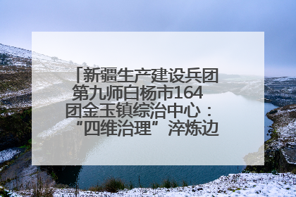 新疆生产建设兵团第九师白杨市164团金玉镇综治中心：“四维治理”淬炼边疆“枫桥样本”
