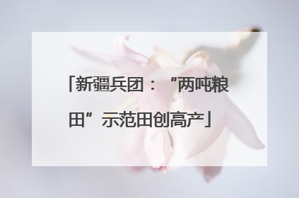 新疆兵团：“两吨粮田”示范田创高产