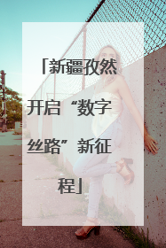 新疆孜然开启“数字丝路”新征程