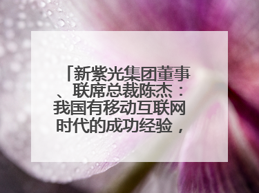 新紫光集团董事、联席总裁陈杰：我国有移动互联网时代的成功经验，最有能力做好AI应用创新