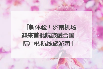 新体验！济南机场迎来首批航旅融合国际中转航线旅游团