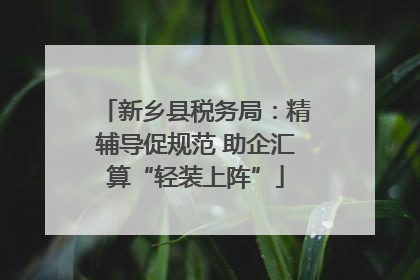 新乡县税务局：精辅导促规范 助企汇算“轻装上阵”