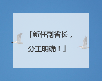 新任副省长，分工明确！