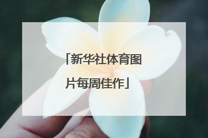 新华社体育图片每周佳作