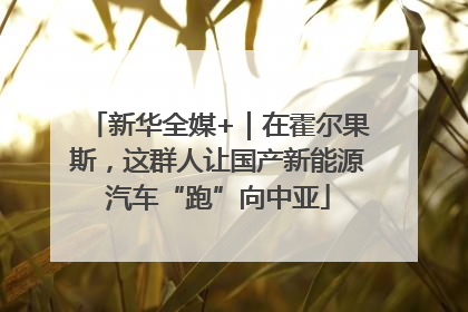 新华全媒+｜在霍尔果斯，这群人让国产新能源汽车“跑”向中亚
