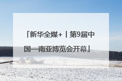 新华全媒+丨第9届中国—南亚博览会开幕