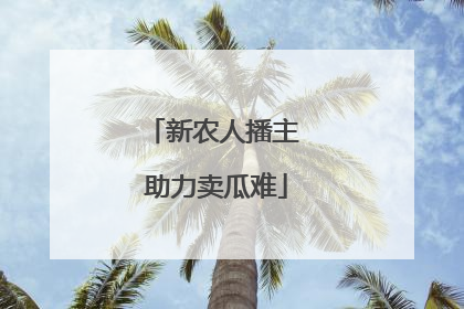 新农人播主 助力卖瓜难