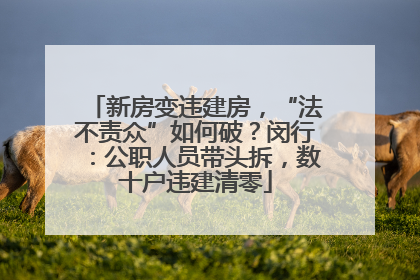 新房变违建房，“法不责众”如何破？闵行：公职人员带头拆，数十户违建清零