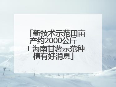 新技术示范田亩产约2000公斤！海南甘薯示范种植有好消息