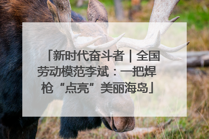 新时代奋斗者｜全国劳动模范李斌：一把焊枪“点亮”美丽海岛