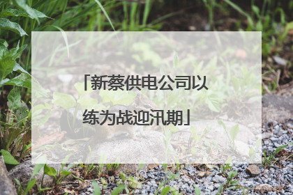 新蔡供电公司以练为战迎汛期