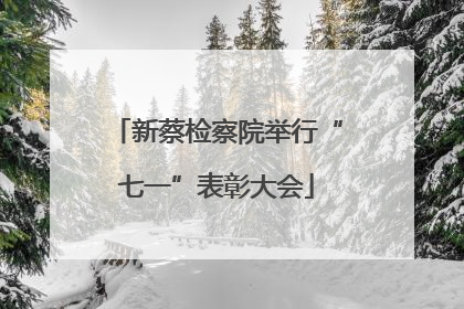 新蔡检察院举行“七一”表彰大会