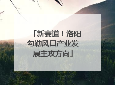 新赛道！洛阳勾勒风口产业发展主攻方向