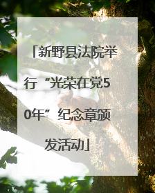 新野县法院举行“光荣在党50年”纪念章颁发活动