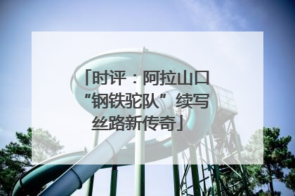 时评：阿拉山口“钢铁驼队”续写丝路新传奇