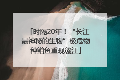 时隔20年！“长江最神秘的生物”极危物种鳤鱼重现赣江