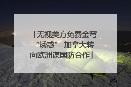 无视美方免费金穹“诱惑” 加拿大转向欧洲谋国防合作