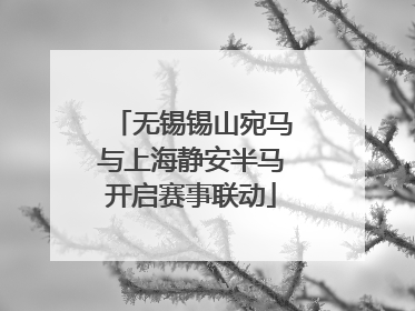 无锡锡山宛马与上海静安半马开启赛事联动
