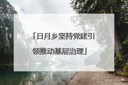 日月乡坚持党建引领推动基层治理