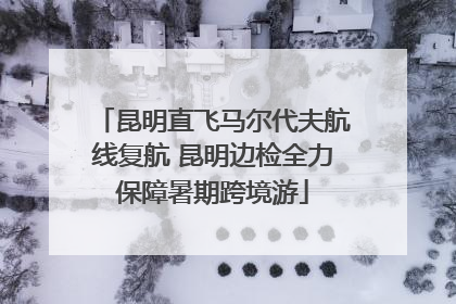 昆明直飞马尔代夫航线复航 昆明边检全力保障暑期跨境游