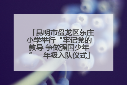 昆明市盘龙区东庄小学举行“牢记党的教导 争做强国少年”一年级入队仪式
