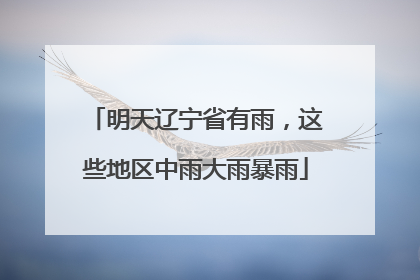 明天辽宁省有雨，这些地区中雨大雨暴雨