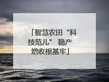 智慧农田“科技范儿” 稳产增收根基牢
