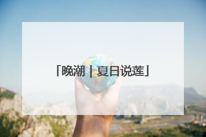 晚潮｜夏日说莲