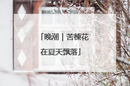 晚潮｜苦楝花在夏天飘落