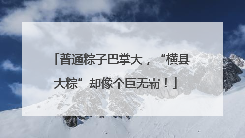 普通粽子巴掌大，“横县大粽”却像个巨无霸！