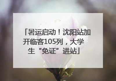 暑运启动！沈阳站加开临客105列，大学生“免证”进站