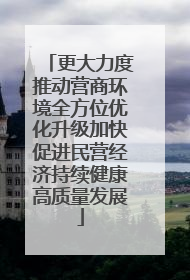 更大力度推动营商环境全方位优化升级加快促进民营经济持续健康高质量发展