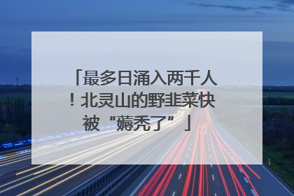 最多日涌入两千人！北灵山的野韭菜快被“薅秃了”