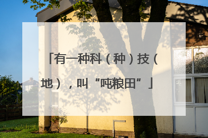 有一种科（种）技（地），叫“吨粮田”