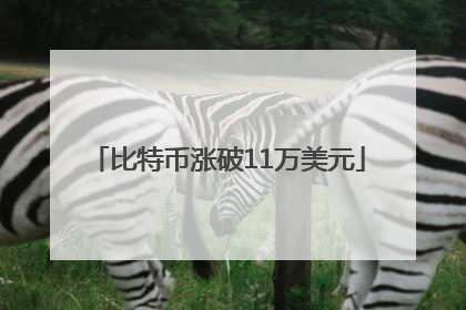 比特币涨破11万美元