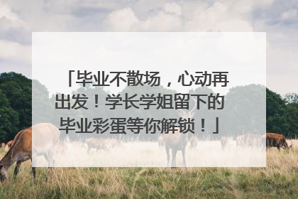 毕业不散场，心动再出发！学长学姐留下的毕业彩蛋等你解锁！