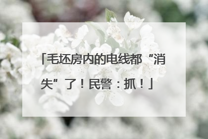 毛坯房内的电线都“消失”了！民警：抓！