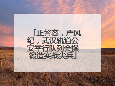 正警容，严风纪，武汉轨道公安举行队列会操锻造实战尖兵