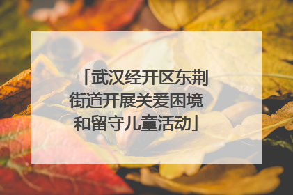 武汉经开区东荆街道开展关爱困境和留守儿童活动