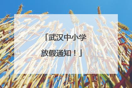 武汉中小学放假通知！