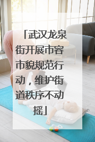 武汉龙泉街开展市容市貌规范行动，维护街道秩序不动摇