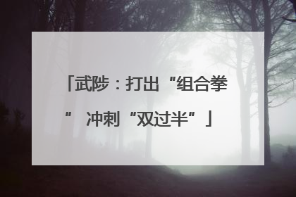 武陟：打出“组合拳” 冲刺“双过半”