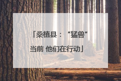 桑植县：“猛兽”当前 他们在行动