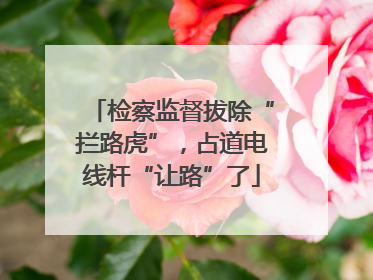 检察监督拔除“拦路虎”，占道电线杆“让路”了