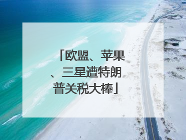 欧盟、苹果、三星遭特朗普关税大棒