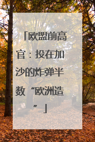 欧盟前高官：投在加沙的炸弹半数“欧洲造”